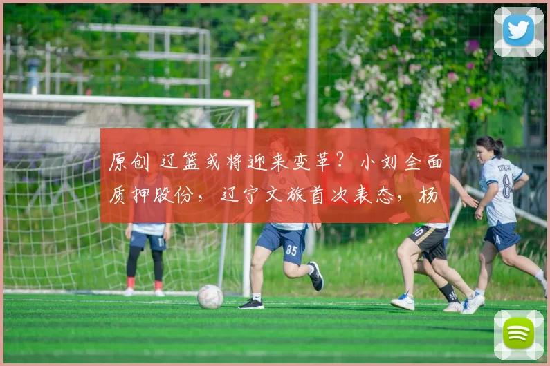 原创 辽篮或将迎来变革？小刘全面质押股份，辽宁文旅首次表态，杨鸣回归呼声高涨