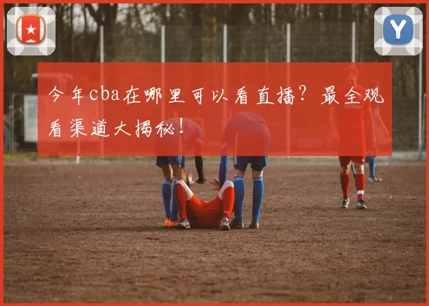 今年cba在哪里可以看直播？最全观看渠道大揭秘！