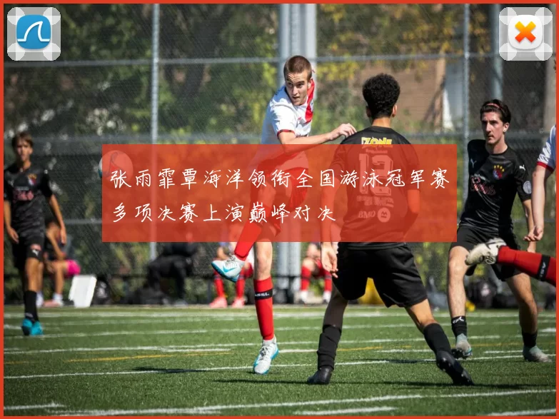 张雨霏覃海洋领衔全国游泳冠军赛多项决赛上演巅峰对决