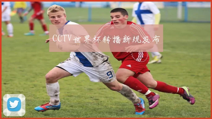 CCTV世界杯转播新规发布