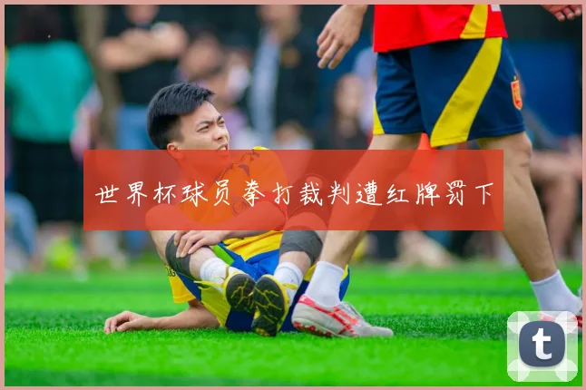 世界杯球员拳打裁判遭红牌罚下
