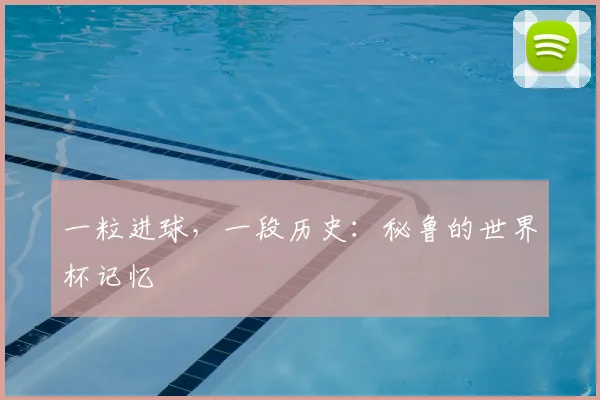 一粒进球，一段历史：秘鲁的世界杯记忆